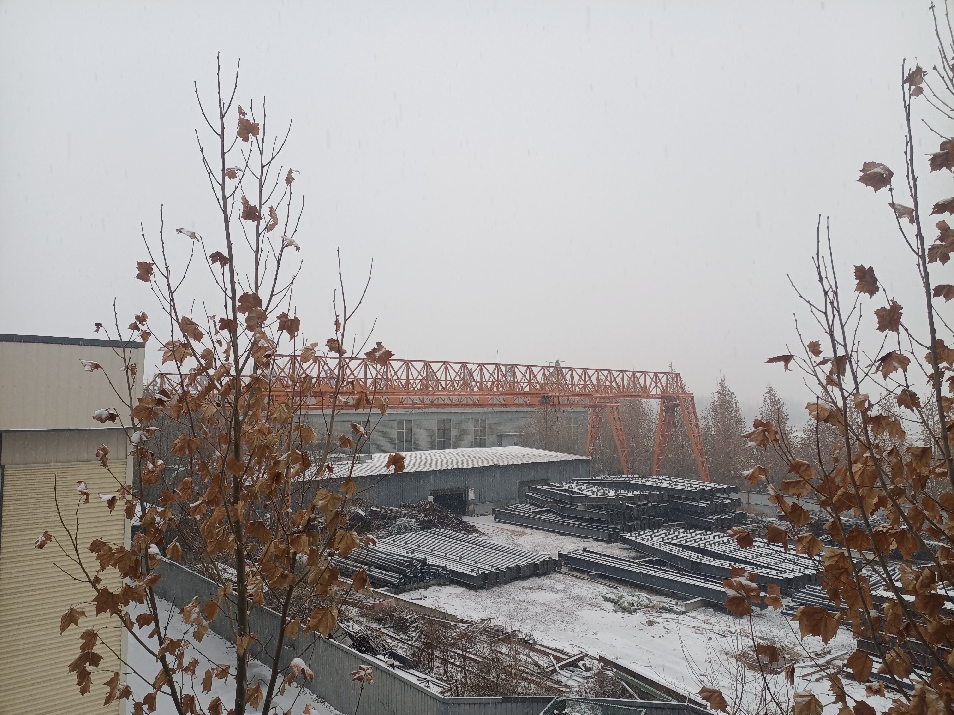 衡水鋼結(jié)構(gòu),衡水鋼結(jié)構(gòu)廠,衡水鋼結(jié)構(gòu)廠房,衡水鋼結(jié)構(gòu)廠家，衡水廠房車(chē)間加工，衡水鋼結(jié)構(gòu)--金鼎鋼構(gòu)廠雪景貨場(chǎng)